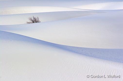 White Sands_32283.jpg - A study of white-on-white photographed at the White Sands National Monument near Alamogordo, New Mexico, USA.